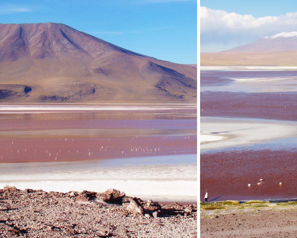 Laguna colorada y flamencos, Bolivia Laguna colorada y flamencos, Bolivia
